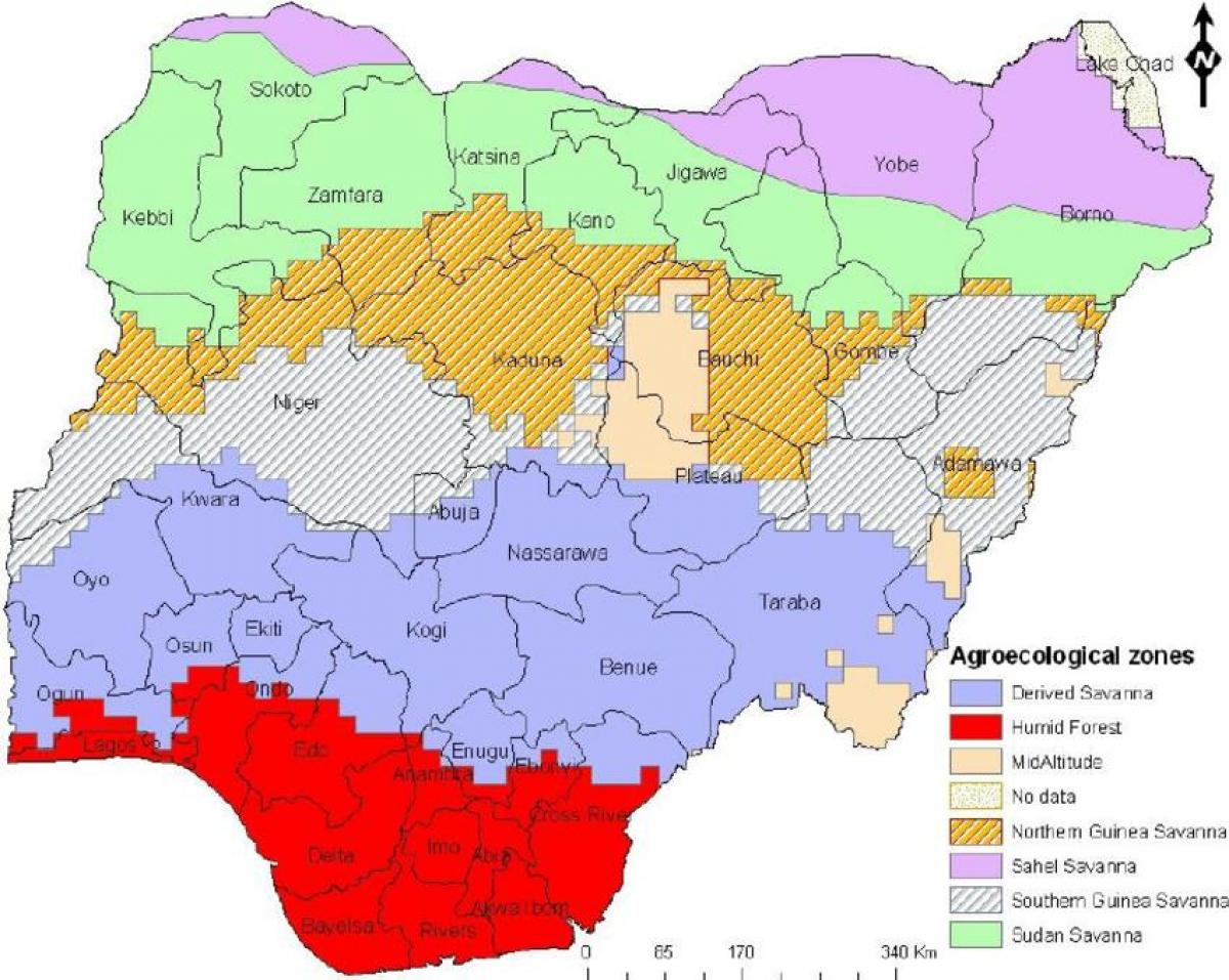 изчертаване на картата на Нигерия с посочване на зони растителност 