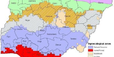 Изчертаване на картата на Нигерия с посочване на зони растителност 